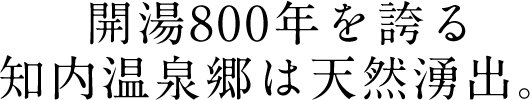 開湯800年を誇る 知内温泉郷は天然湧出